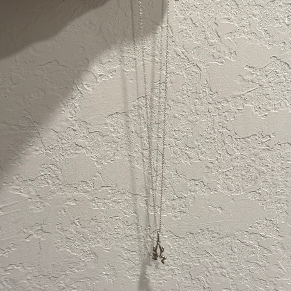 Elegant Silver Necklace